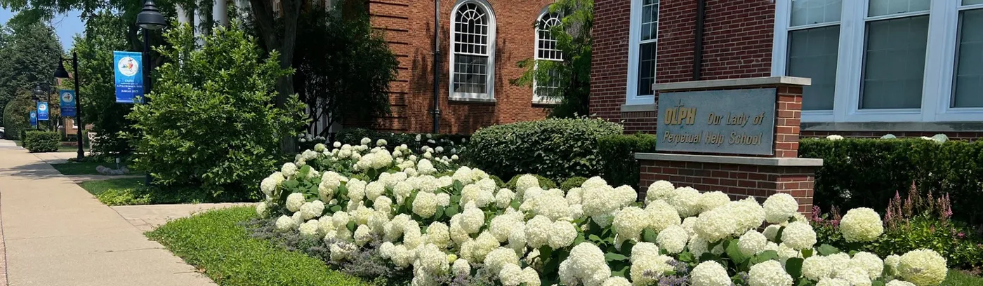 garden071425-2