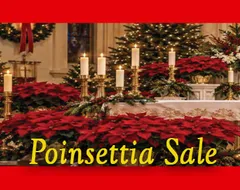 poinsettia2026