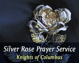 Silver_Rose
